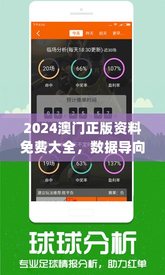 新澳門2024今晚開什么,穩健設計策略_GLS27.671攜帶版